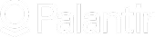 Palantir